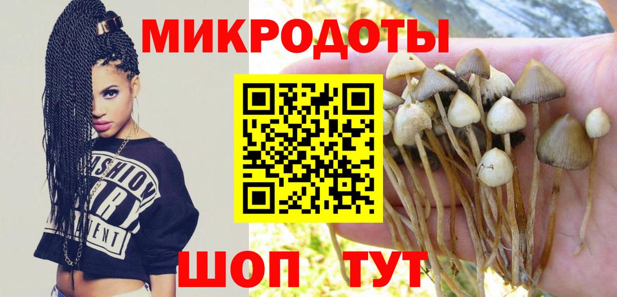 Галлюциногенные грибы Magic Shrooms  Вход с VPN  Златоуст 