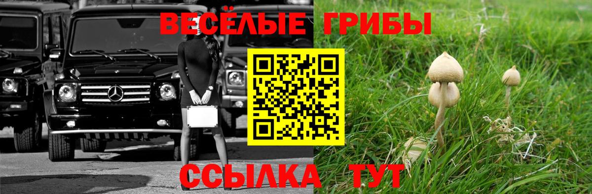 Псилоцибиновые грибы прущие грибы Златоуст